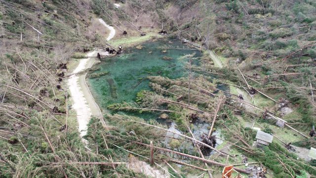 Taibon Agordino (BL): riforestazione dopo la tempesta Vaia