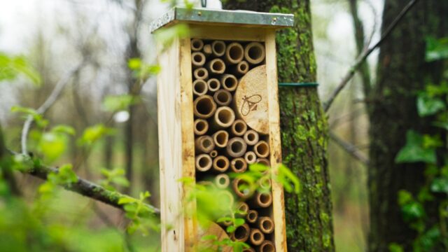 CPR System: Team Building aziendale per un nuovo Biodiversity Lab® a Casalgrande (RE)