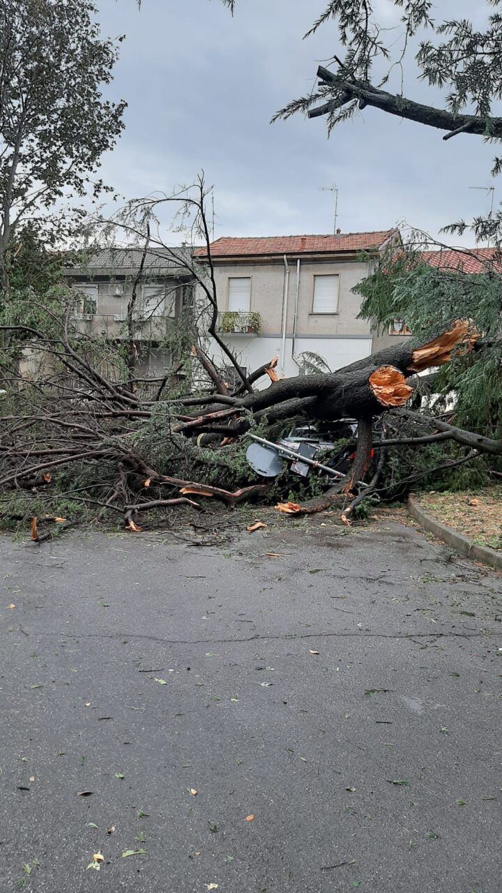 Questa immagine ha l'attributo alt vuoto; il nome del file è 4cda7afd-8128-406f-8b7b-750311c1a499-1-720x1280.jpeg