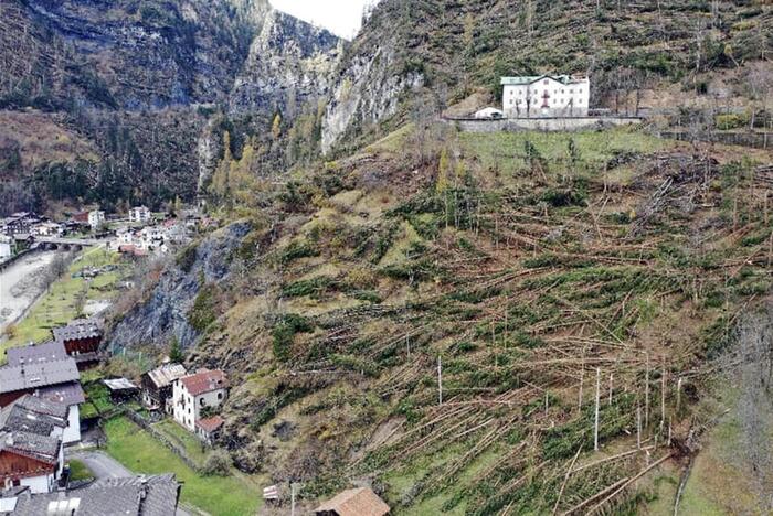 foresta abbattuta dalla tempesta Vaia