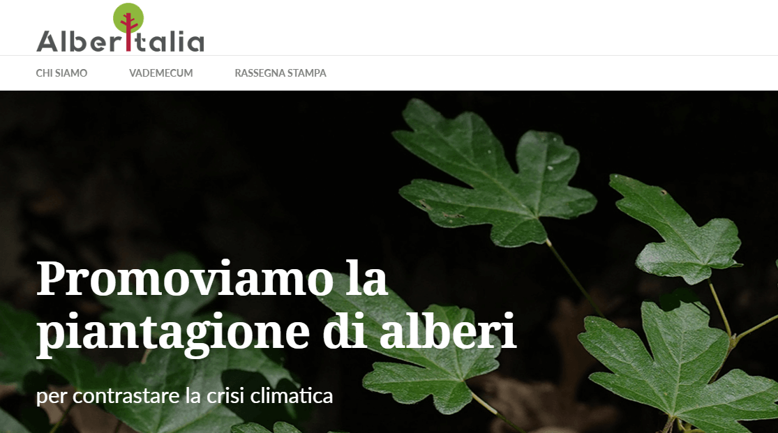 AlberItalia: nasce la Fondazione che vuole piantare 60 milioni di alberi in Italia