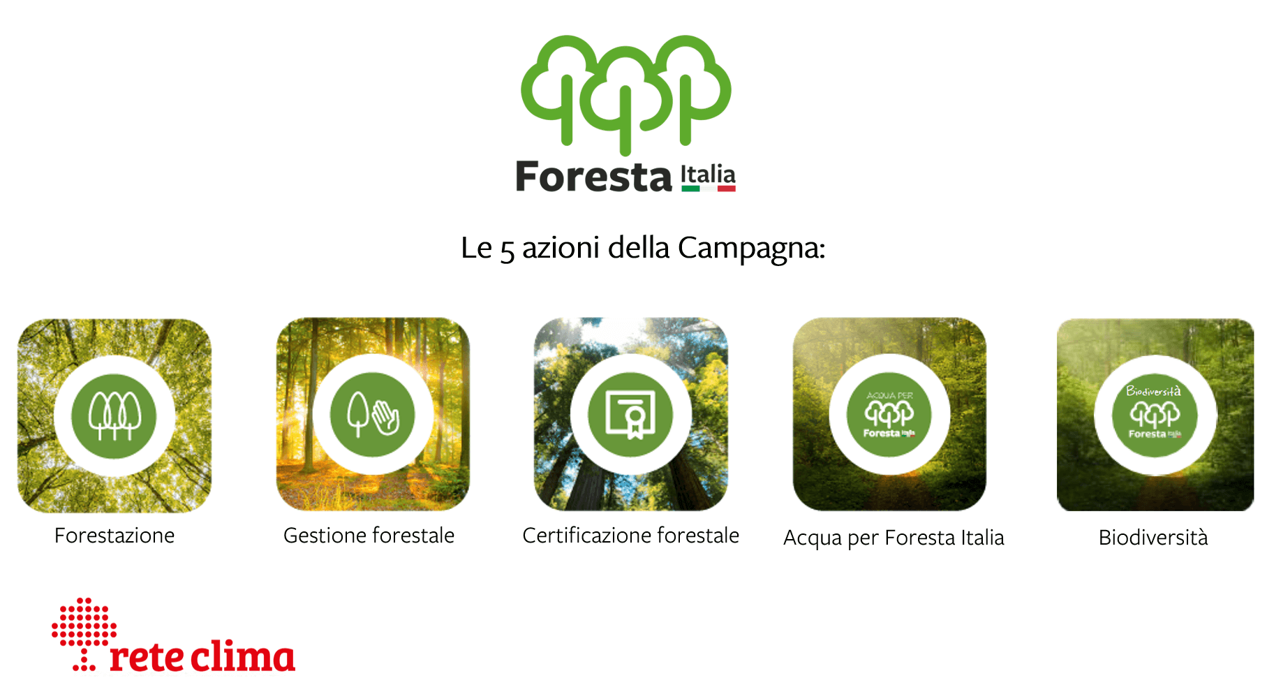 foresta-italia