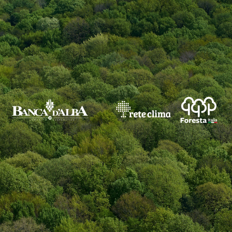 Banca d’Alba: crediti di sostenibilità da gestione forestale sostenibile