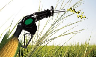Biocarburanti e fame: report di Oxfam Italia sulle conseguenze alimentari (e climatiche) delle politiche europee a favore dei biofuels