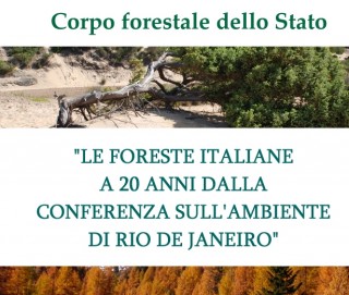 INFC (Inventario Nazionale Forestale sui serbatoi di Carbonio): oltre un miliardo di tonnellate di carbonio stoccato nelle foreste nazionali