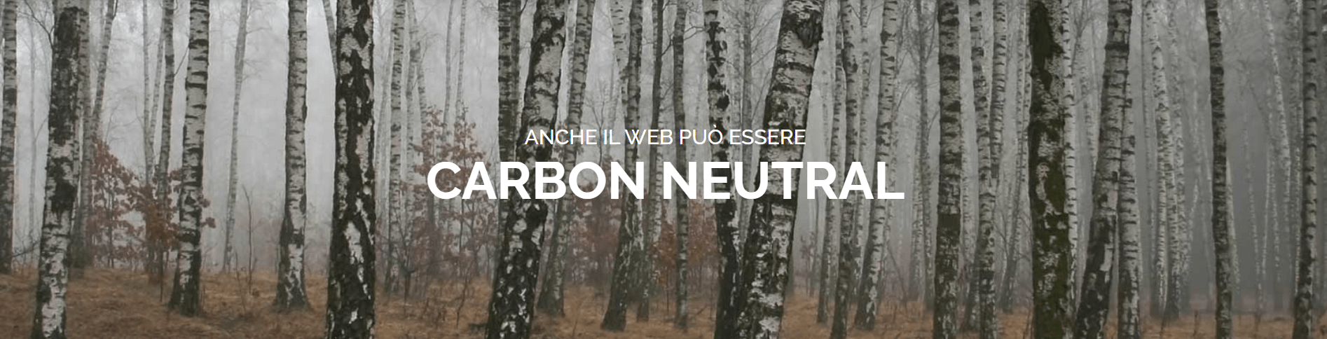 Web carbon neutral