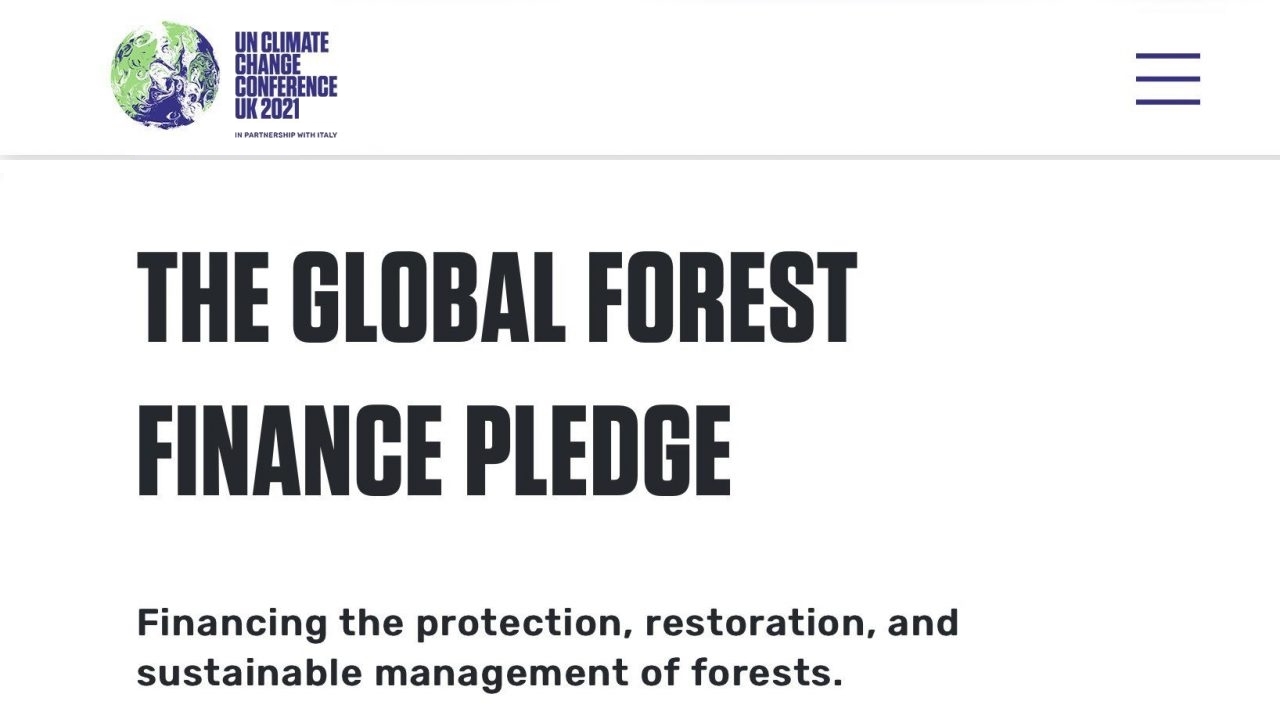 COP26: nuovo accordo contro la deforestazione entro il 2030 firmato da più di 100 paesi