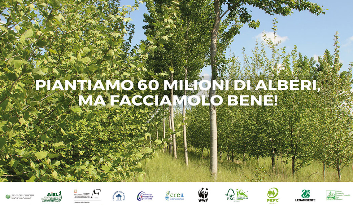 alberi-italia-60-milioni-di-alberi