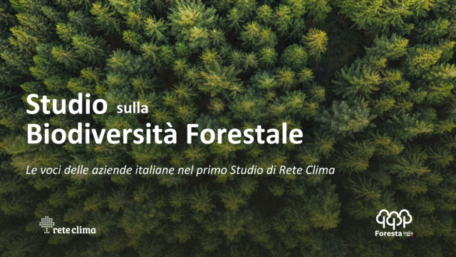 Biodiversità Forestale: le voci delle aziende italiane nel primo Studio di Rete Clima