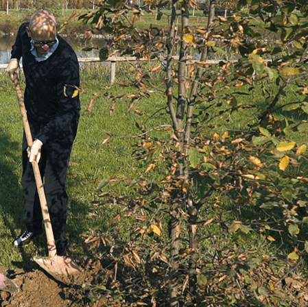 DHL Tree Planting