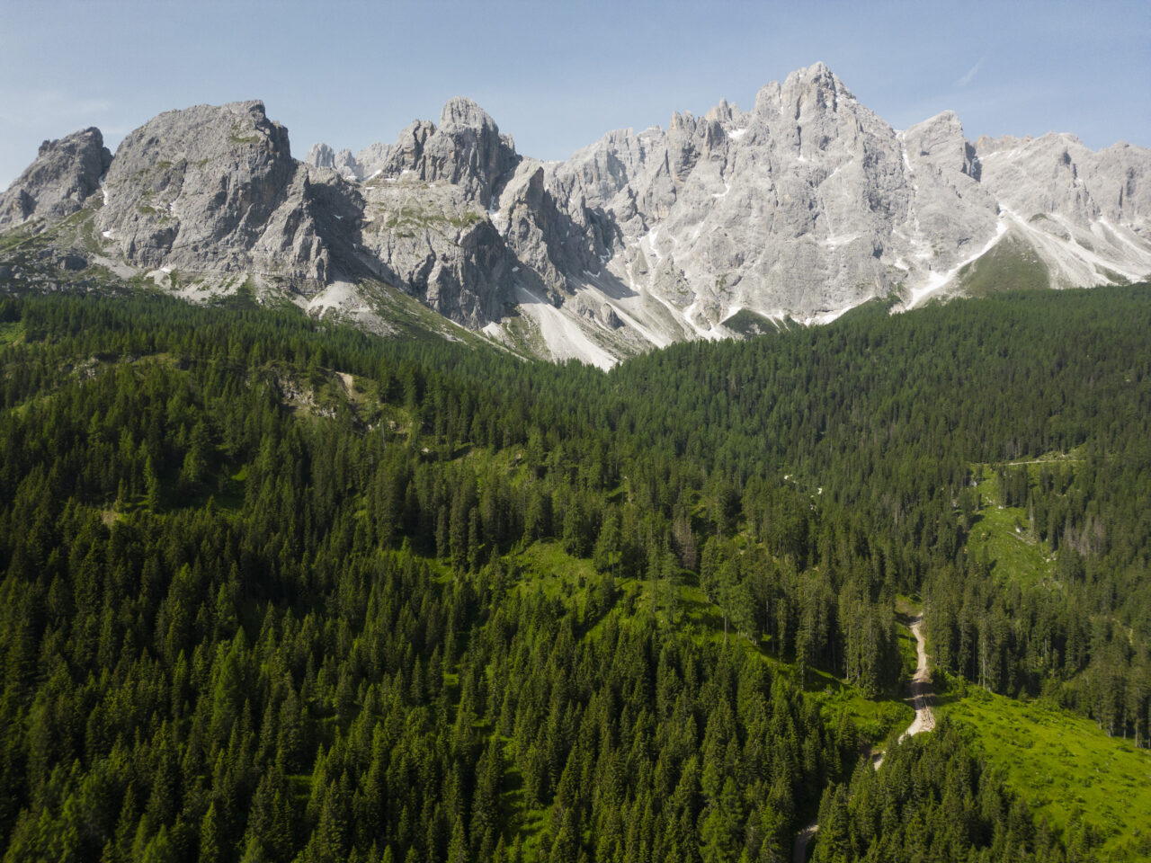 Sesto (BZ) – riforestazione post schianti da vento (Vaia) e da neve