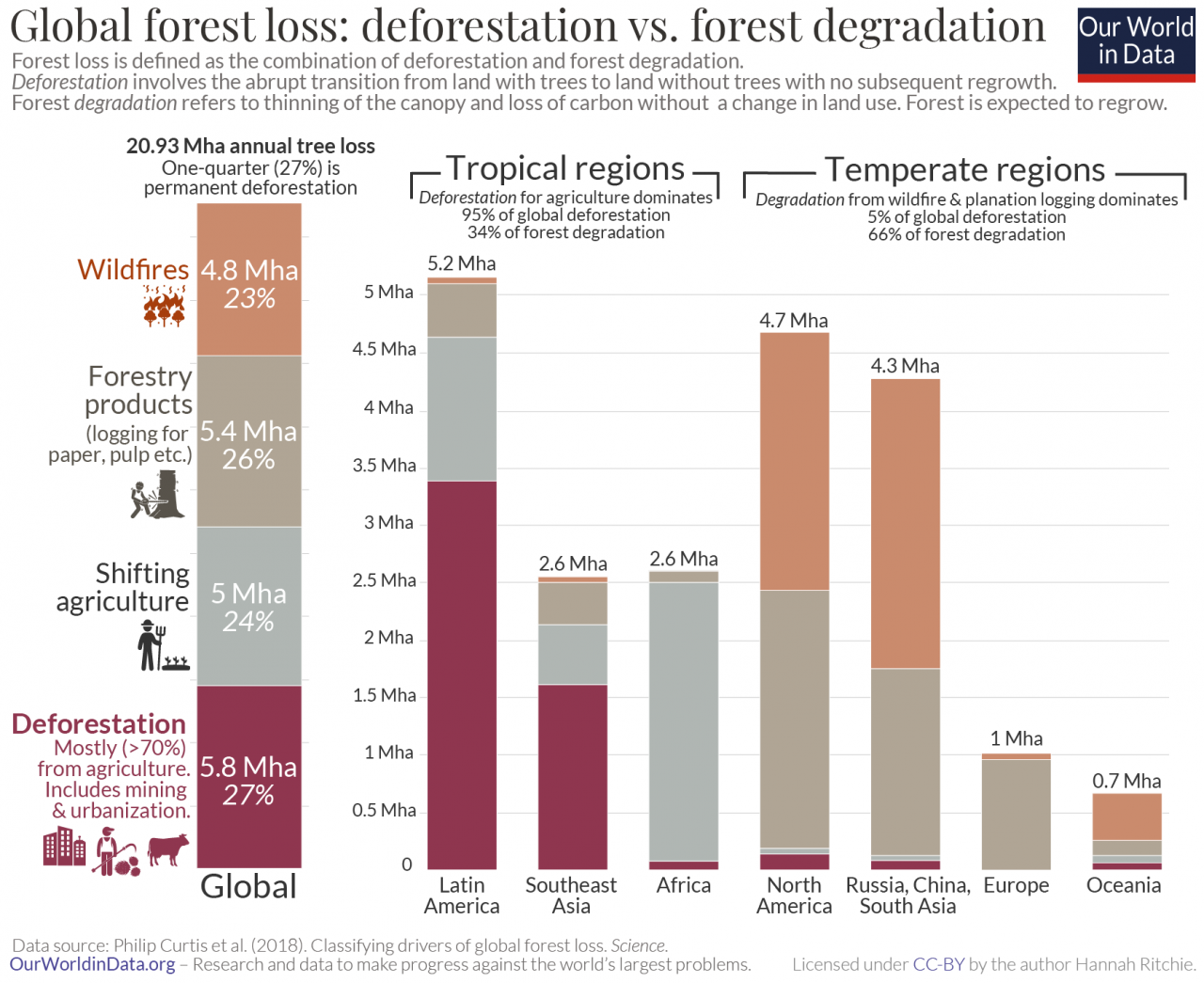 deforestazione