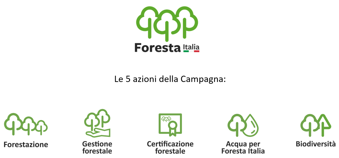 foresta-italia