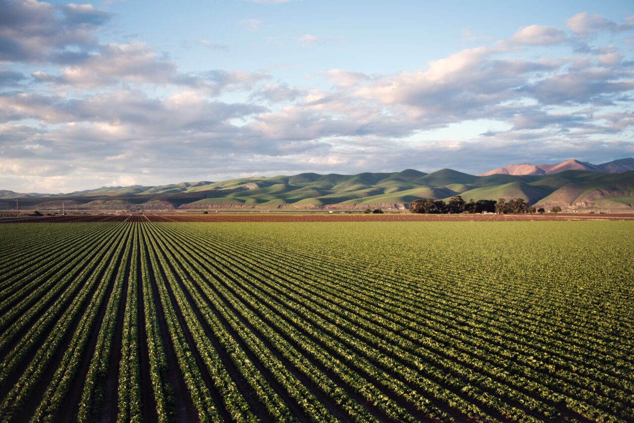 Biodiversità e agricoltura