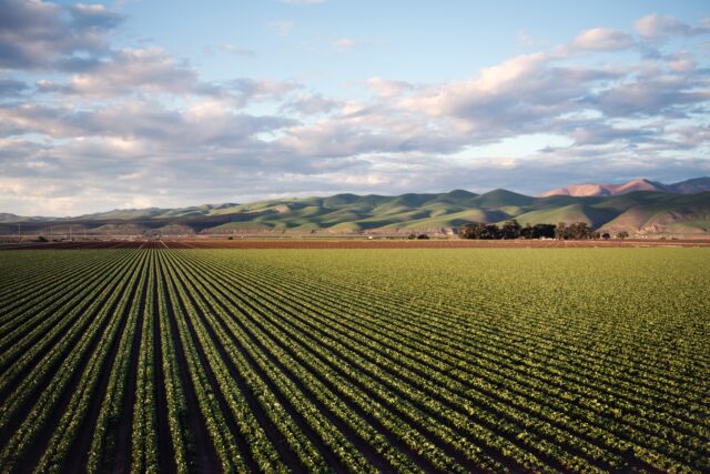 Biodiversità e agricoltura