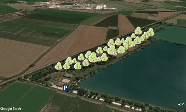 Forestazione CONAD del 10 novembre 2023 mattina a Gonzaga (MN): indicazioni geografiche ed operative