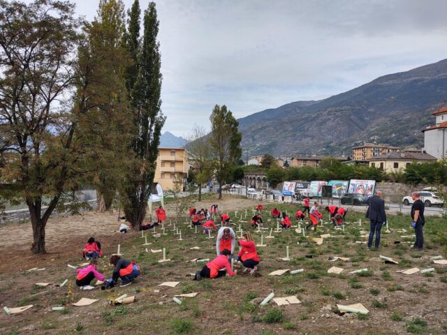 Forestazione urbana: alberi ad Aosta