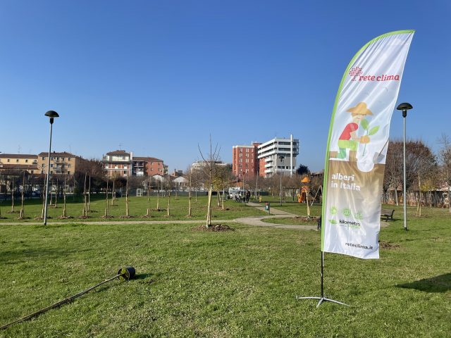 Forestazione urbana: alberi a Bologna