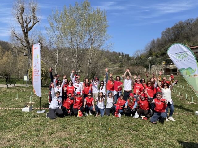 Forestazione urbana: alberi a Bagnatica (BG)