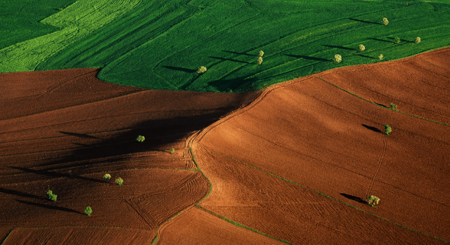 Cambiamento climatico e territorio: dal report IPCC rischi per  sicurezza alimentare, biodiversità e servizi ecosistemici