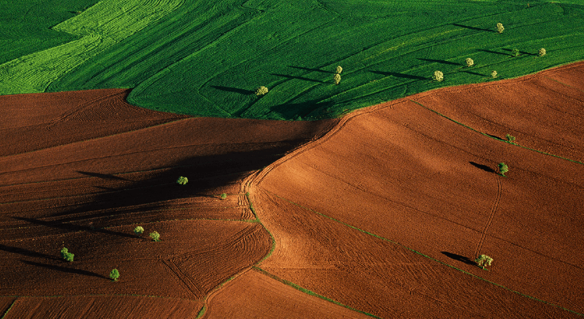 Cambiamento climatico e territorio: dal report IPCC rischi per  sicurezza alimentare, biodiversità e servizi ecosistemici