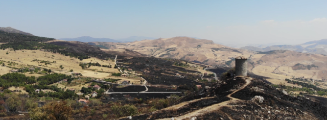 Parco delle Madonie (PA): riforestazione post incendi estivi 2021