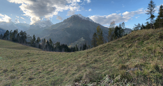 Rocca Pietore (BL): rinascita post tempesta Vaia con progetti di riforestazione alpina