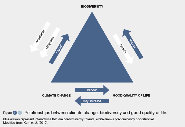 nature positive