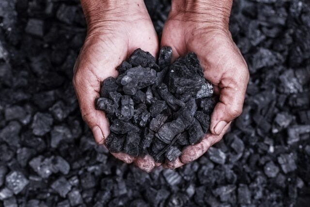 Biochar: prodotto dai mille utilizzi e soluzione di carbon removal