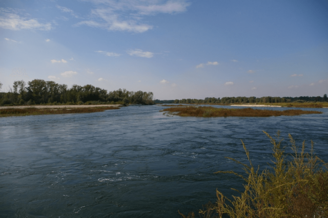 Tenuta Gaezia – Vigevano (PV): Gestione Forestale e servizi ecosistemici