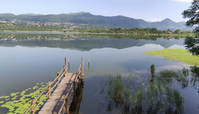 Parco della Valle del Lambro: progetti per la tutela degli ecosistemi forestali
