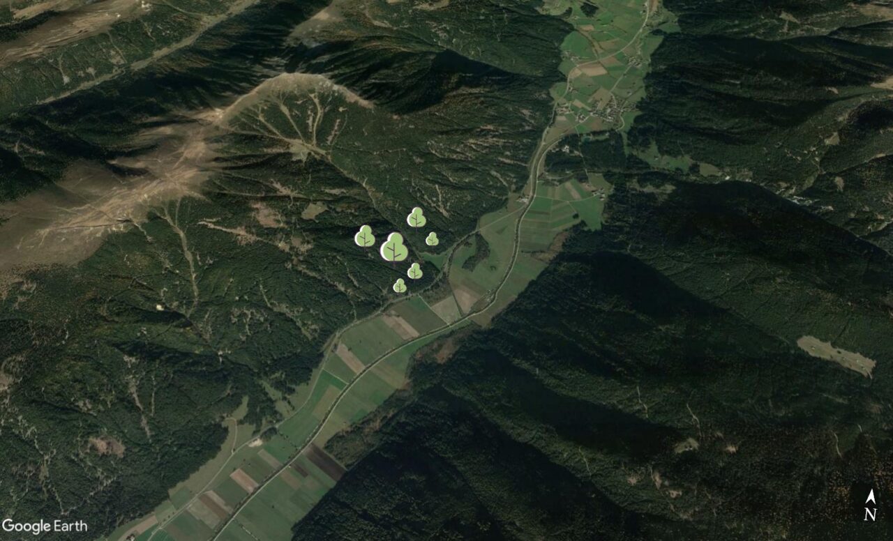 Riforestazione 10 giugno 2022 a Rasun di Sopra (BZ): indicazioni geografiche ed operative