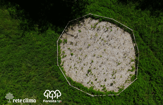BioForest®, i KPI di un anno di interventi a favore della biodiversità in Italia