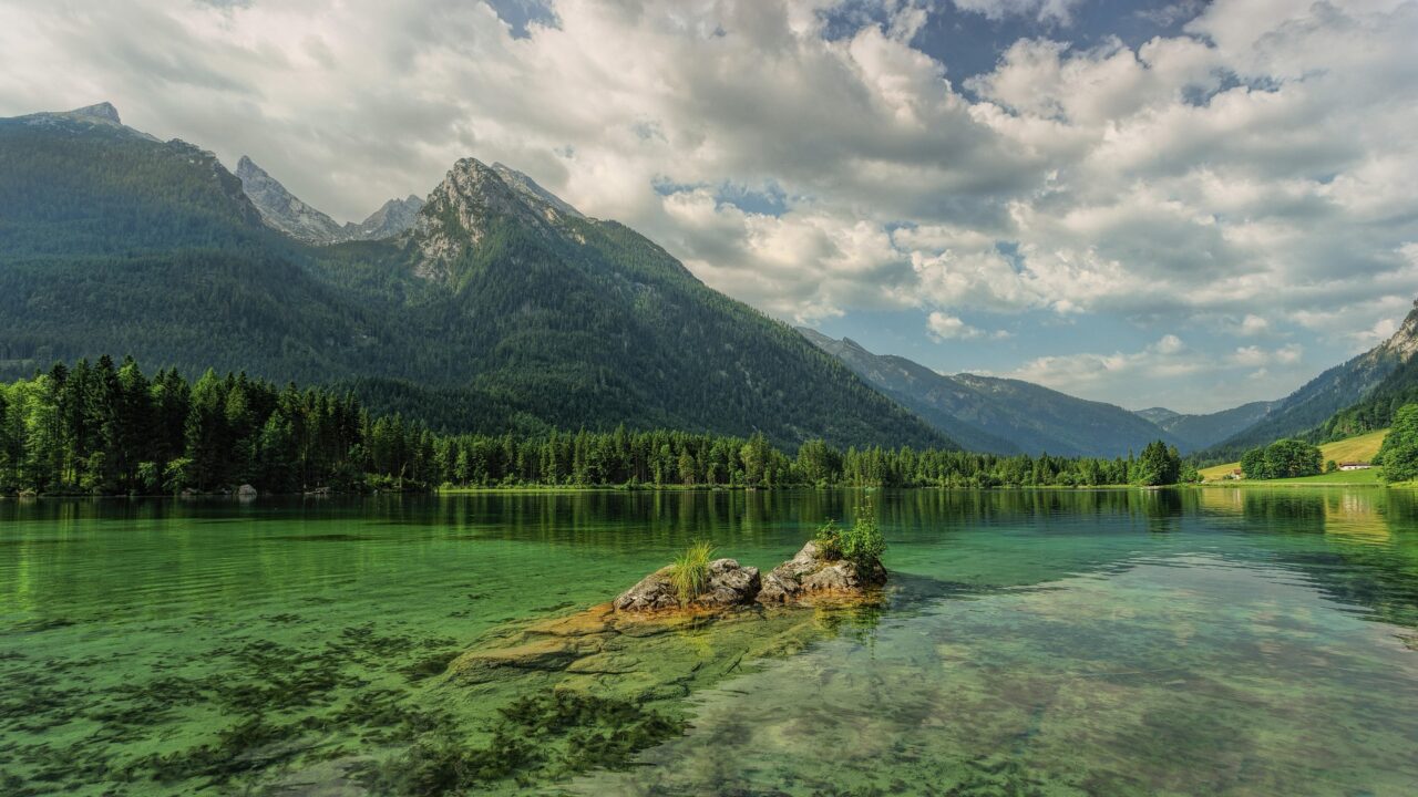 Nature Positive