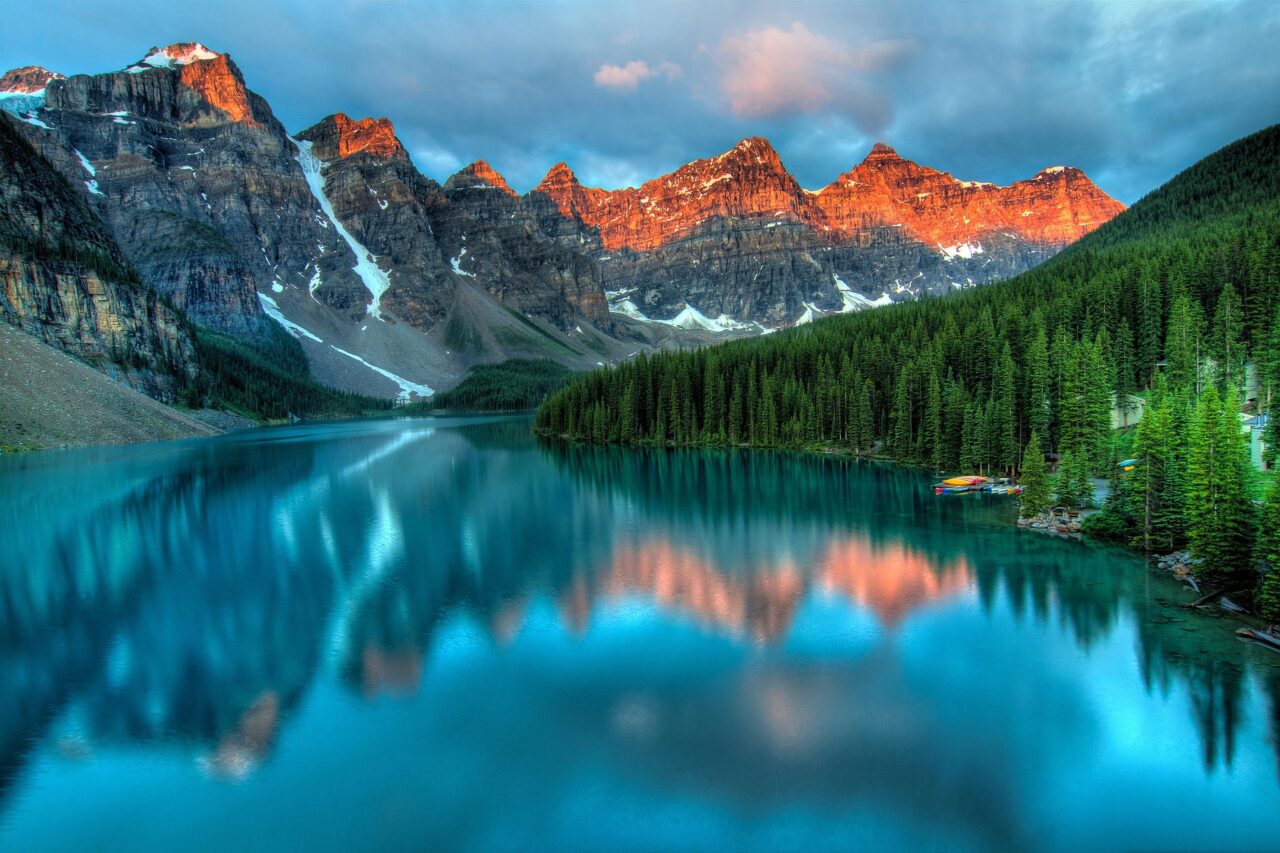 Cosa significa “nature positive”? Quale il ruolo delle Aziende?