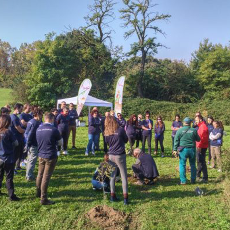 Saint-Gobain PAM: attività di forestazione nella primavera 2022