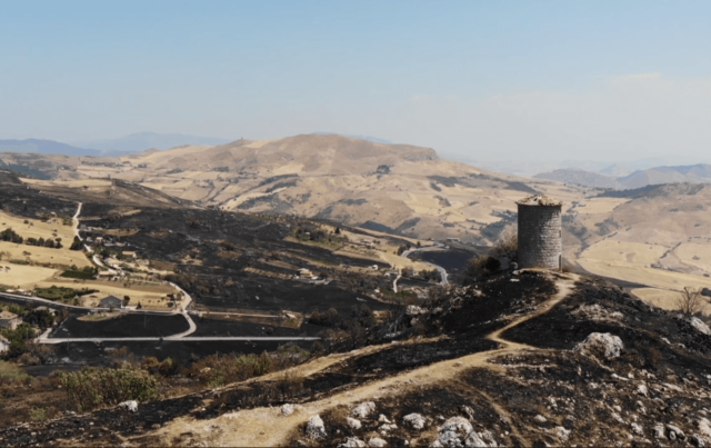 Parco delle Madonie (PA): riforestazione post incendi estivi