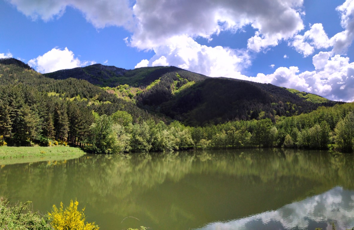 Unioni Comuni Valdarno e Valdisieve (FI): GFS e Servizi Ecosistemici