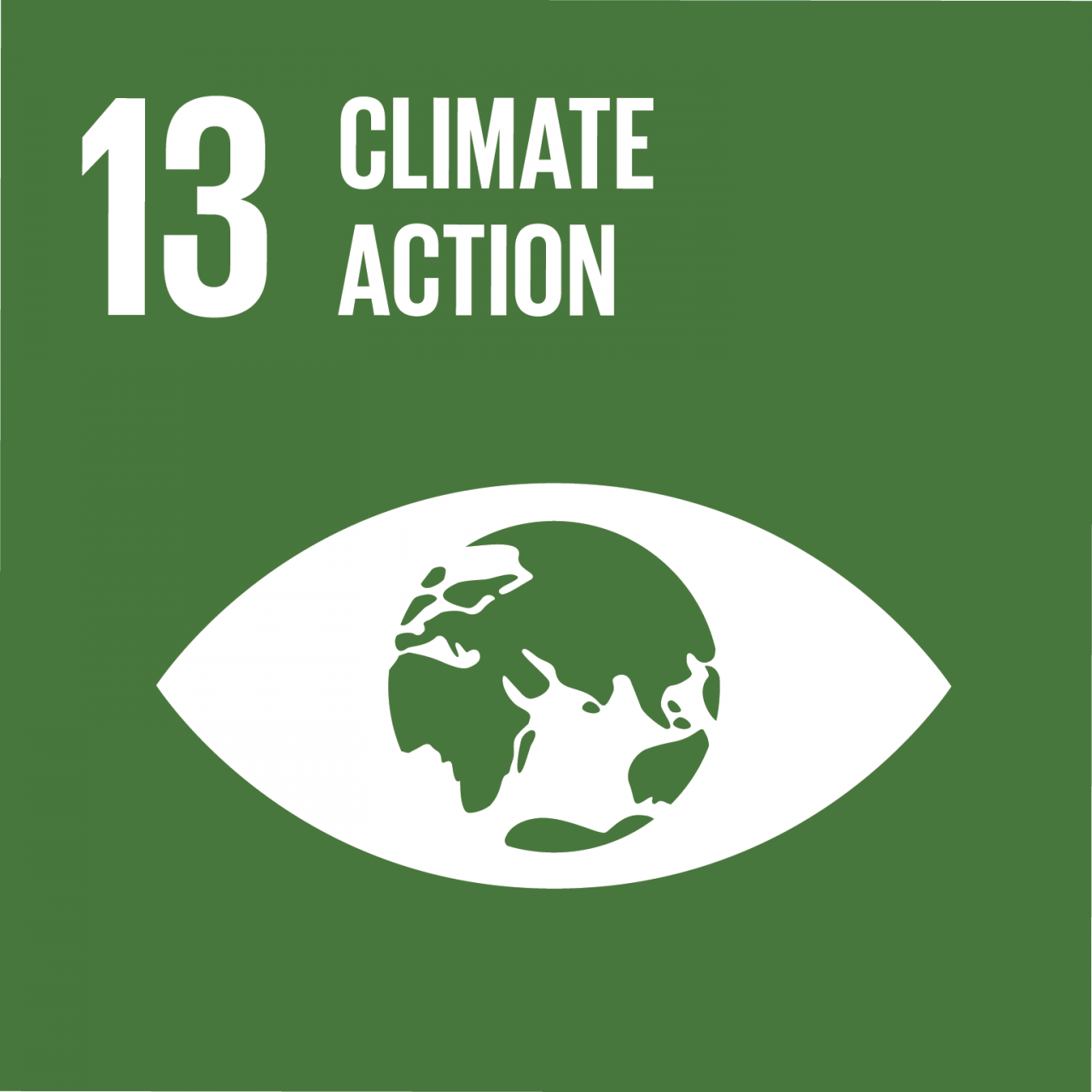 Agenda 2030: gli obiettivi ambientali di sviluppo sostenibile. SDG 13 – Lotta contro il cambiamento climatico