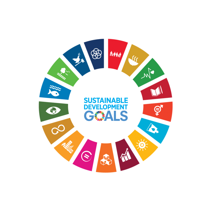 Agenda 2030 e SDGs (Sustainable Development Goals): gli obiettivi ambientali di sviluppo sostenibile