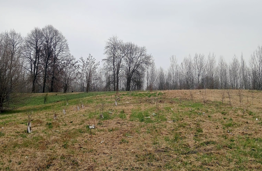 TIM: indicazioni geografiche ed operative per evento di forestazione a Torino