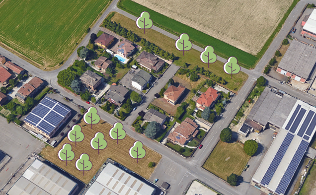 Forestazione urbana: alberi a Calendasco (PC)