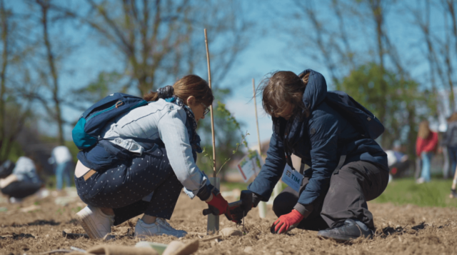 Foresta Italia: la Campagna nazionale di Rete Clima che sviluppa e tutela le foreste