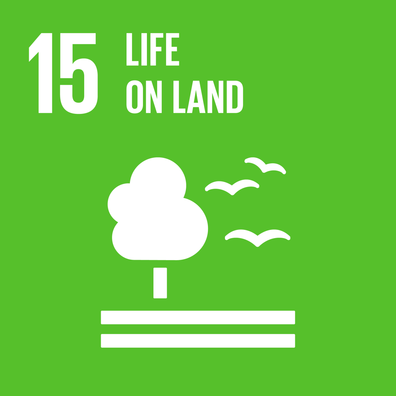 Agenda 2030: gli obiettivi Ambientali di sviluppo sostenibile. SDG 15 – Vita sulla Terra
