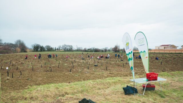 Forestazione urbana: alberi a Fano (PU)