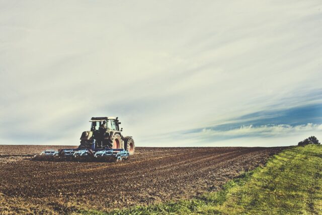 Registro pubblico dei crediti di carbonio volontari del settore agro-forestale italiano