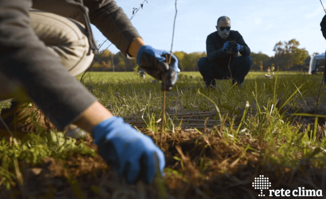 Giornata nazionale degli Alberi 2020: le nostre attività