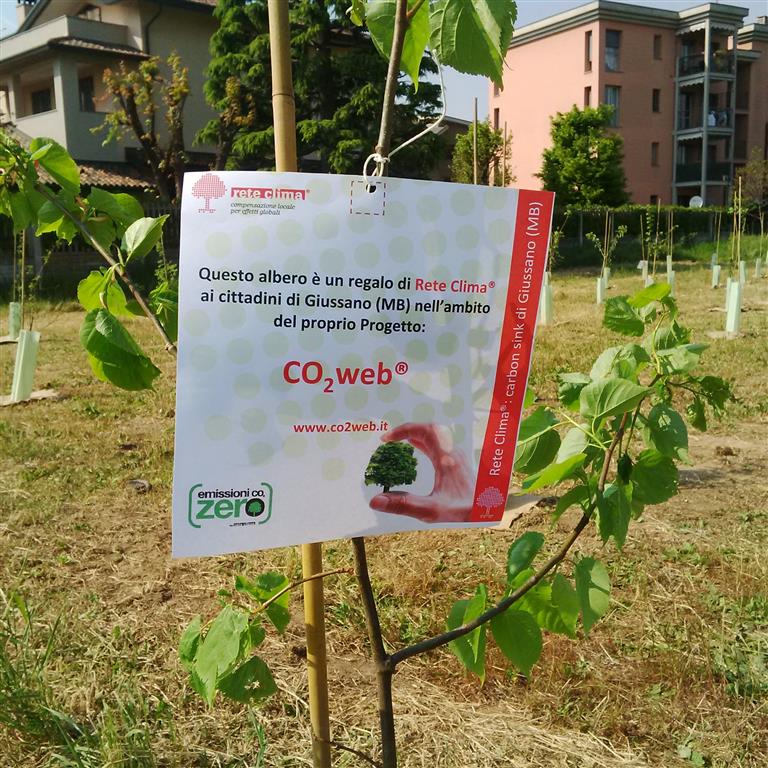 albero_CO2web (Medium)