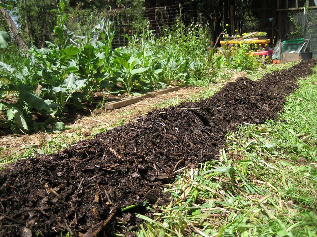 biochar-carbon-removal