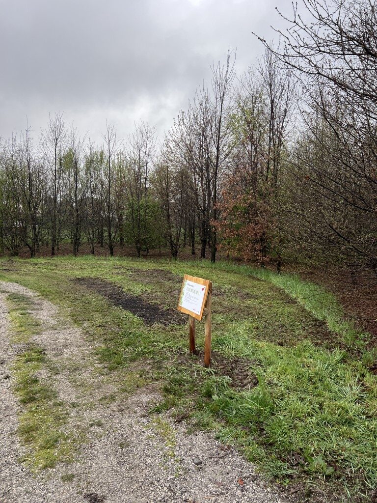 biodiversità